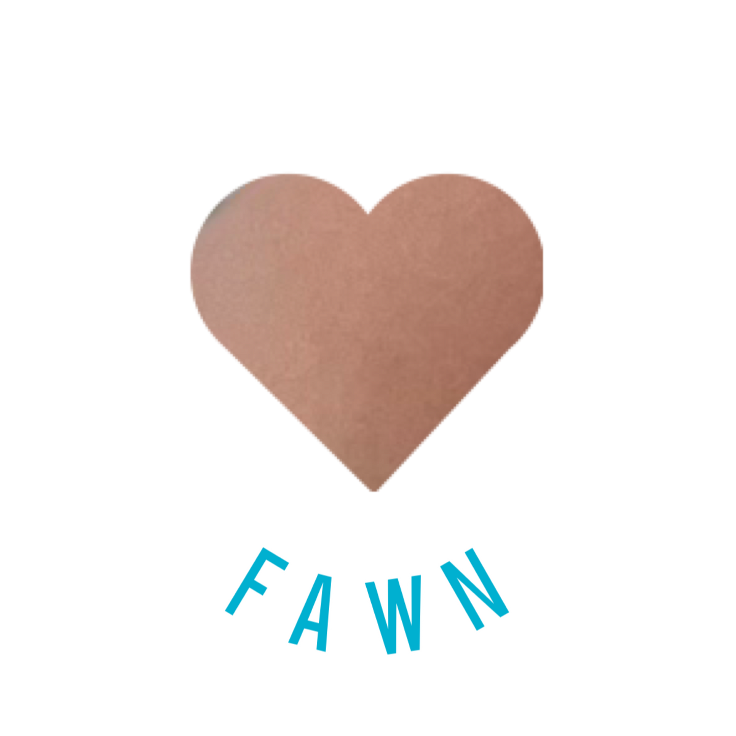 Fawn